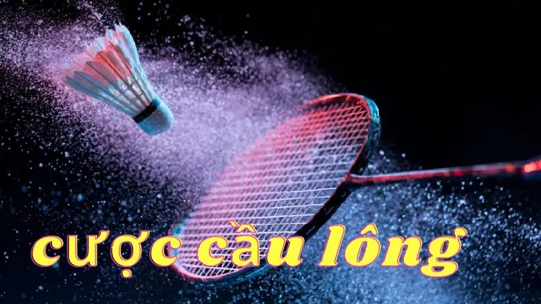 Cách Chơi Cá Cược Cầu Lông Tại 789Win Hiệu Quả Và Thú Vị Nhất