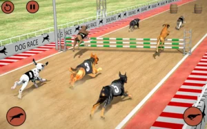 Cách Chơi Game Nhanh Đua Chó Tại 789Win Thắng Lớn Siêu Dễ Dàng
